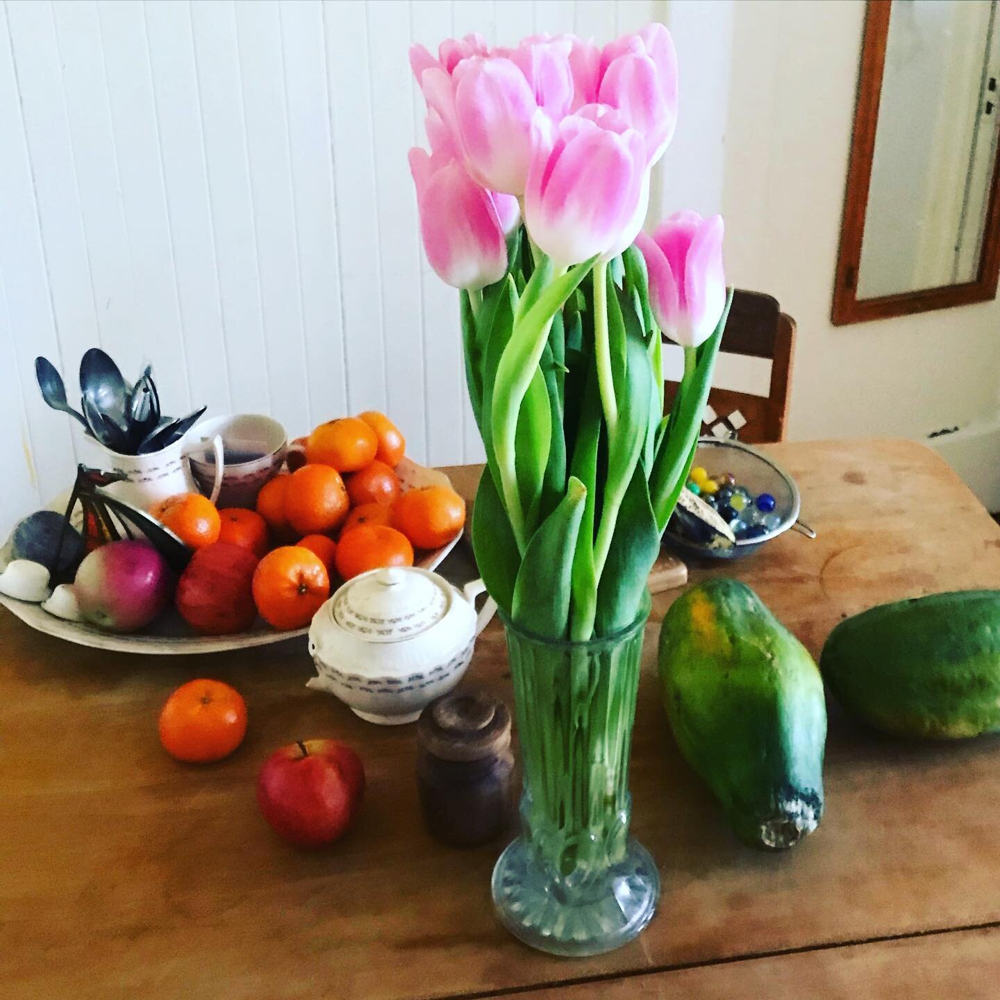 Les tulipes 🌷 sont de retour bient&ocirc;t le Printemps ! #printemps #spring #tulips #tulipes #quebec #saisondessucres #siropderable #maplesyrup #fleur #bonheursimple #bonheur #pilonnutrition #bonjoursoleil