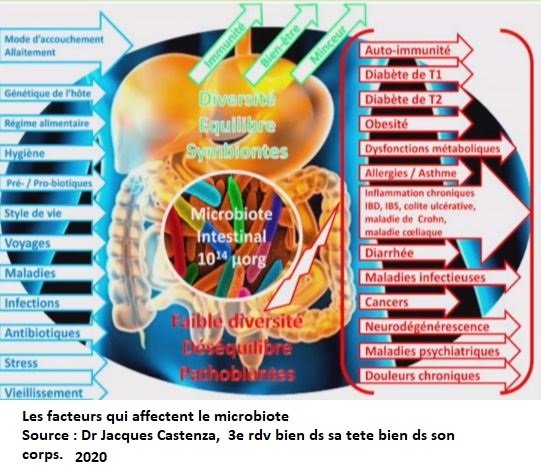 facteurs qui affectent le microbiote - dr jacques castenza  3e rdv bien ds sa tete bien ds son corps.JPG