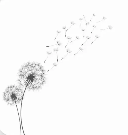 Le repos et la flore microbienne, conférence du Dr Françoise Wilhelmi de Toledo