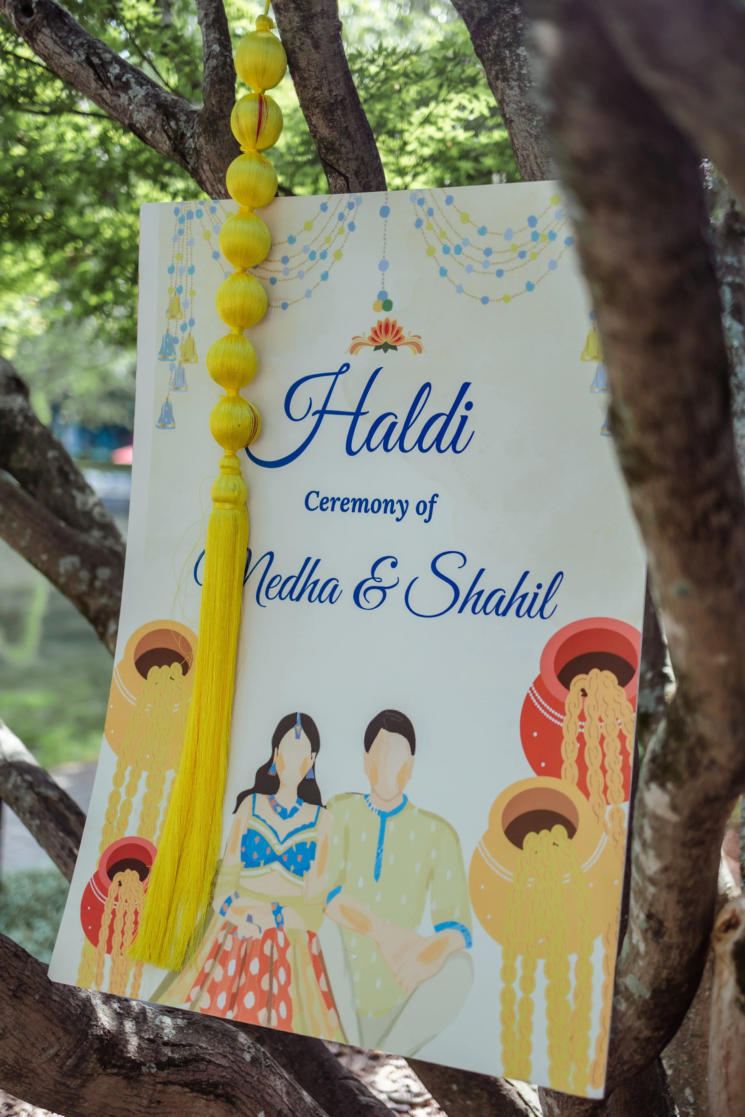 Sahil & Medha-158.jpg