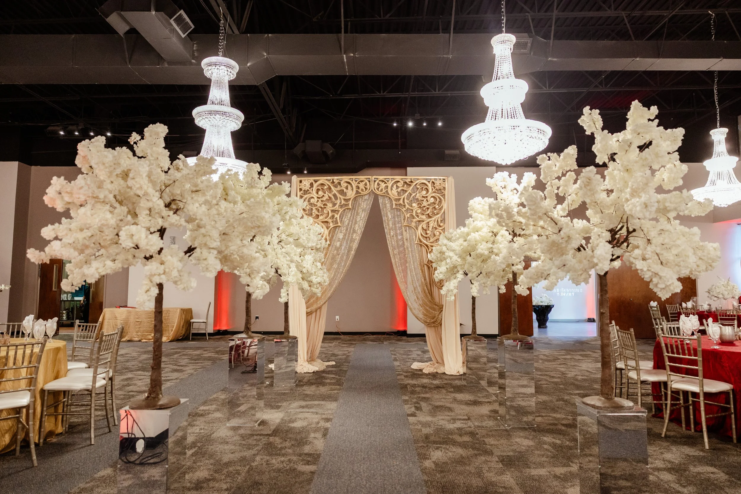 Aayan & Aneesha's Highlights-310.jpg