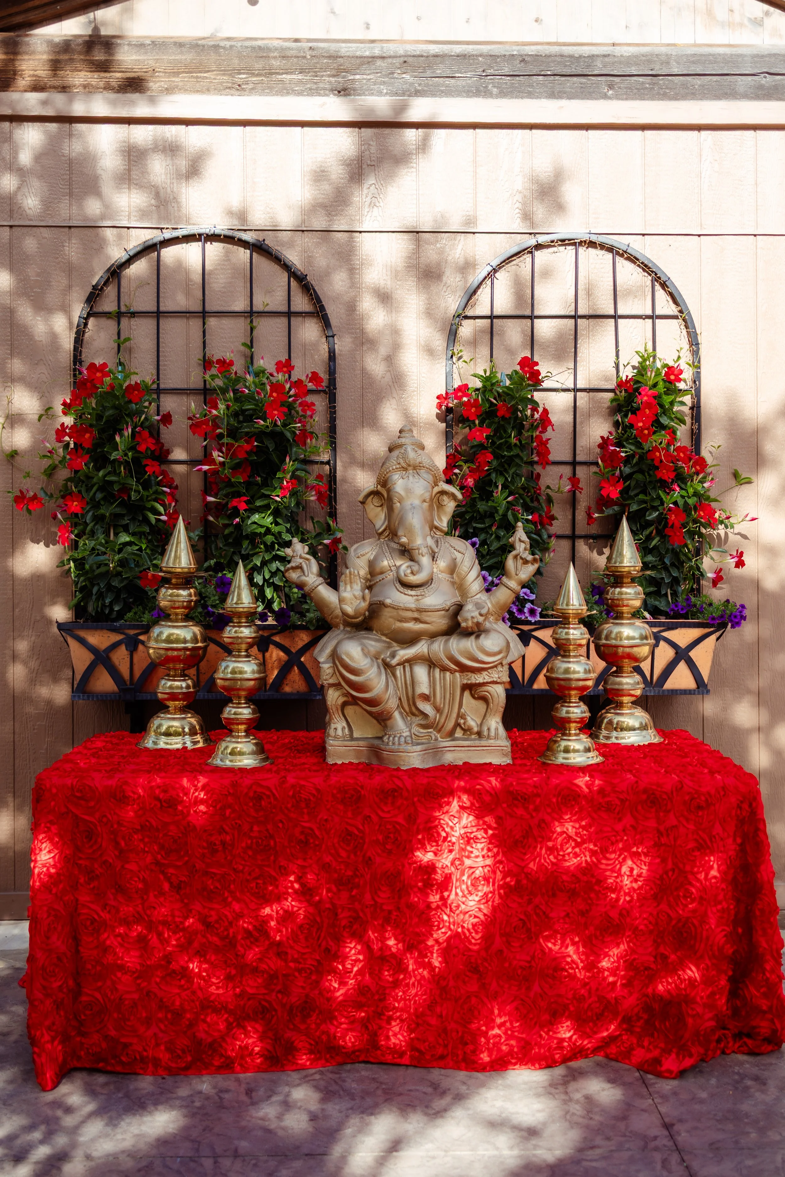 Aarti & Shreyas-3.jpg