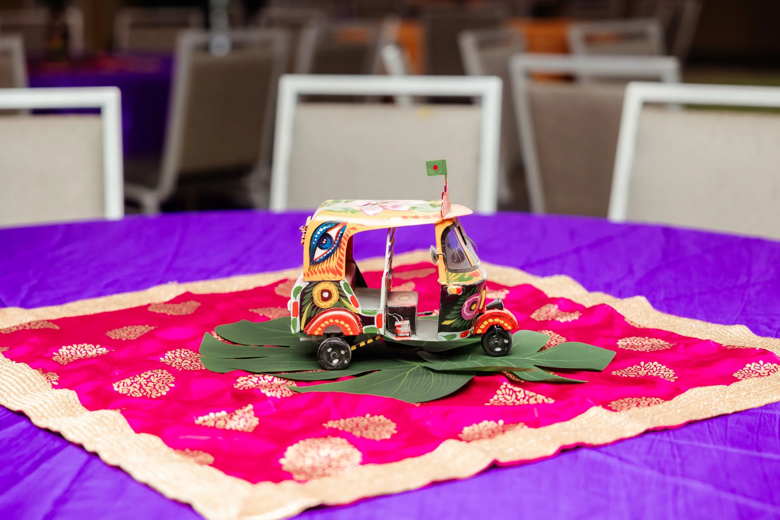 Aayan & Aneesha's Highlights-5.jpg