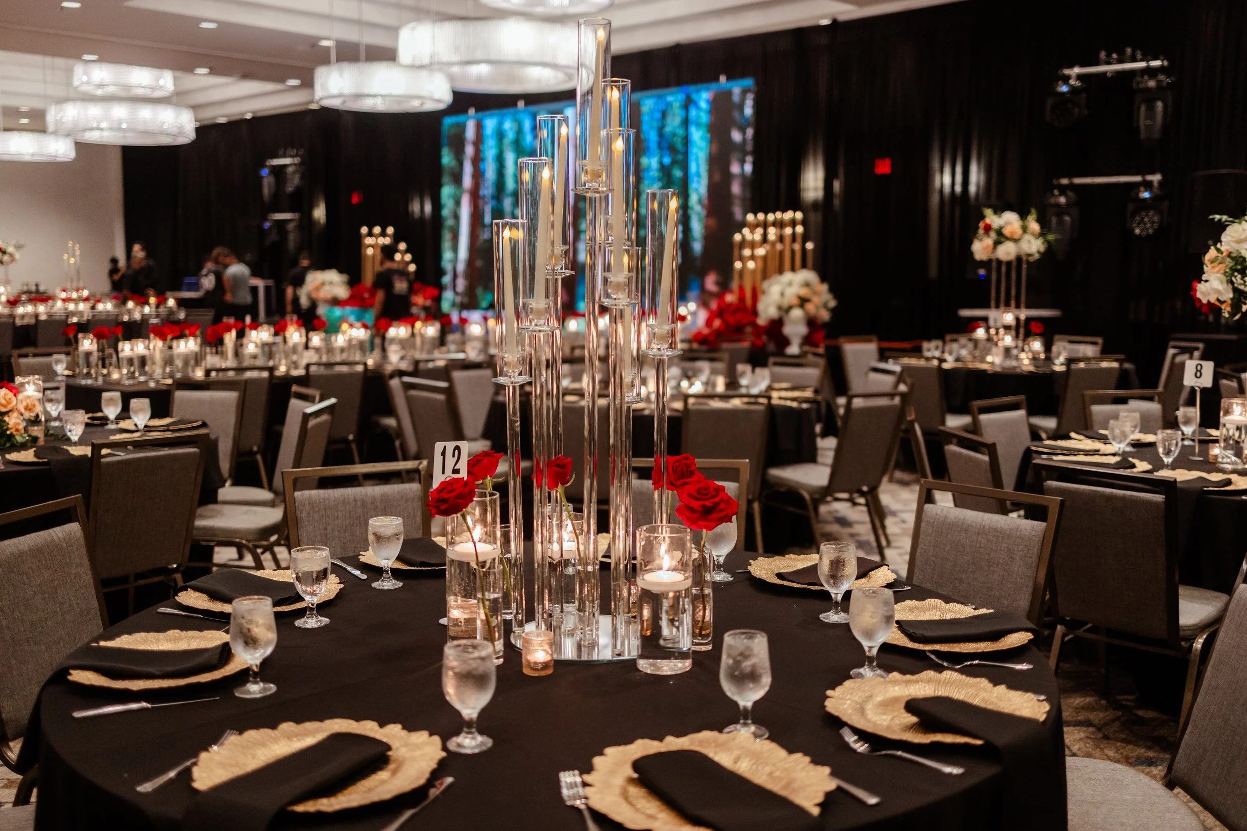 Meghan & Nick Reception-19.jpg