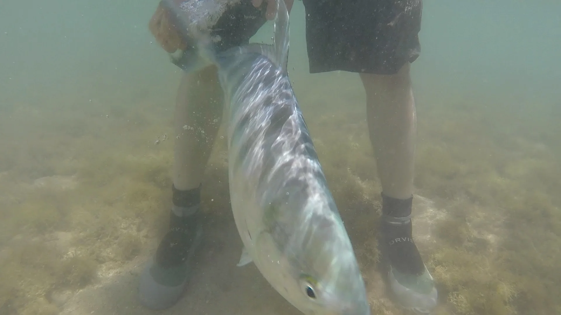 molokai4.jpg