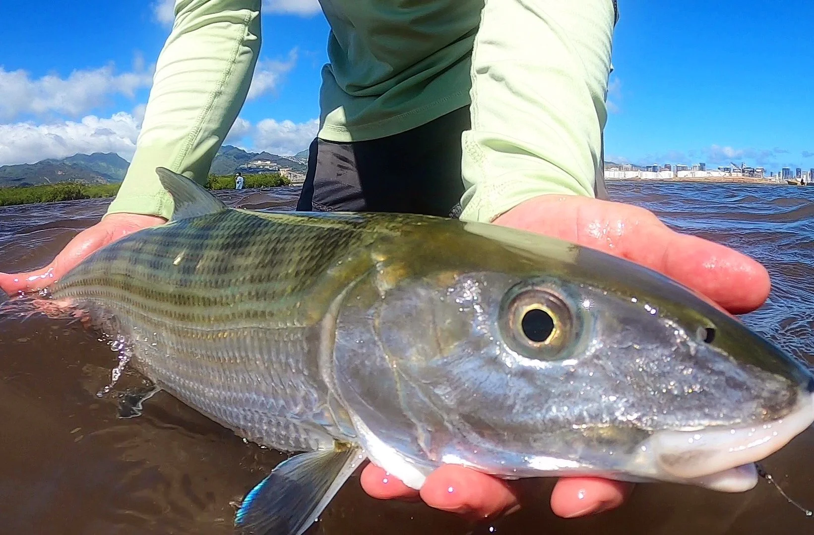 Setting Expectation for Fly Fishing in Hawaii