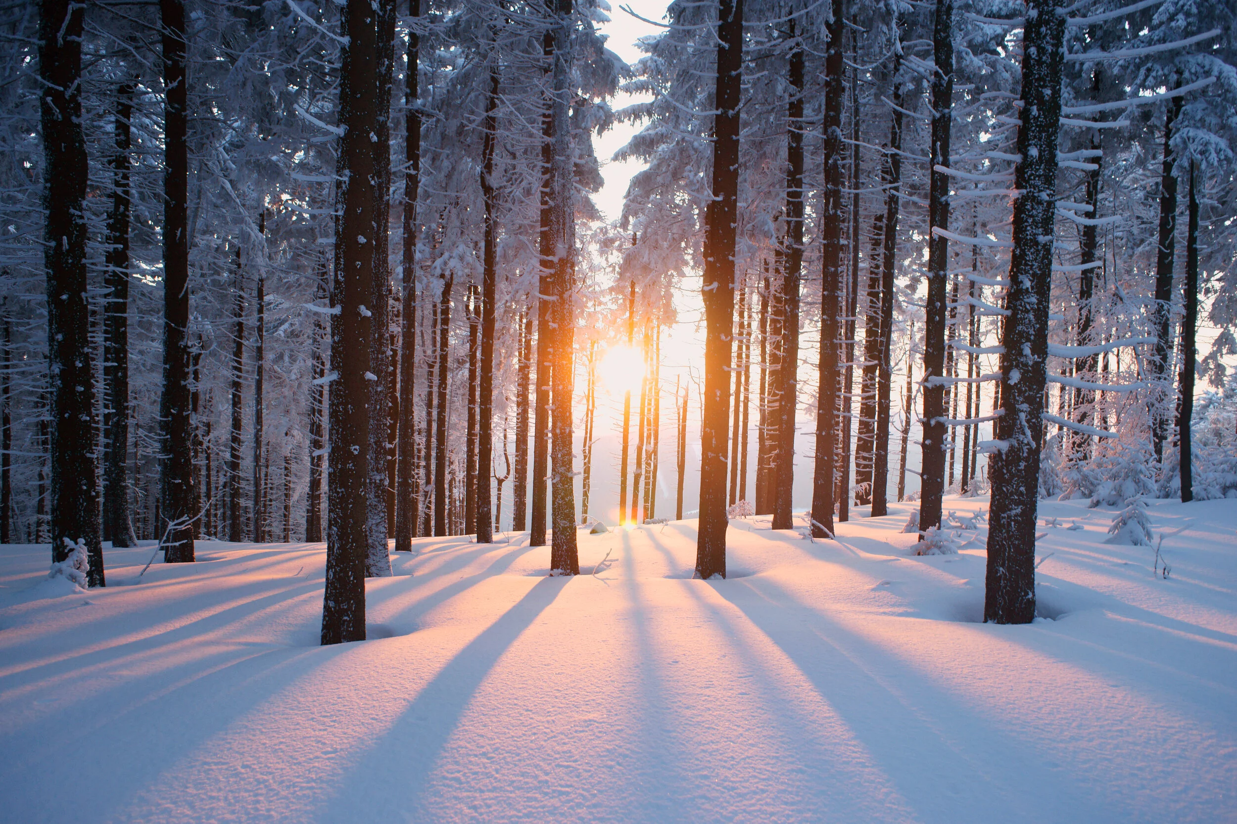 The Subversive Power of Setting Intentions:  A Mindful Alternative to New Year’s Resolutions