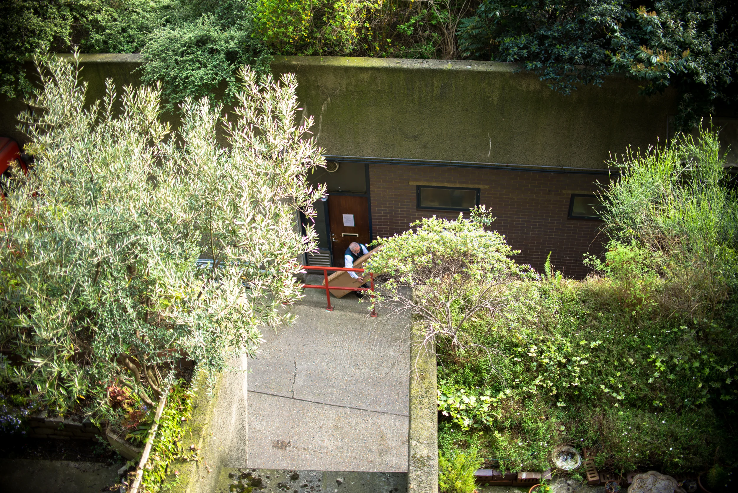 GEORGINA-COOK-BARBICAN-1982.jpg