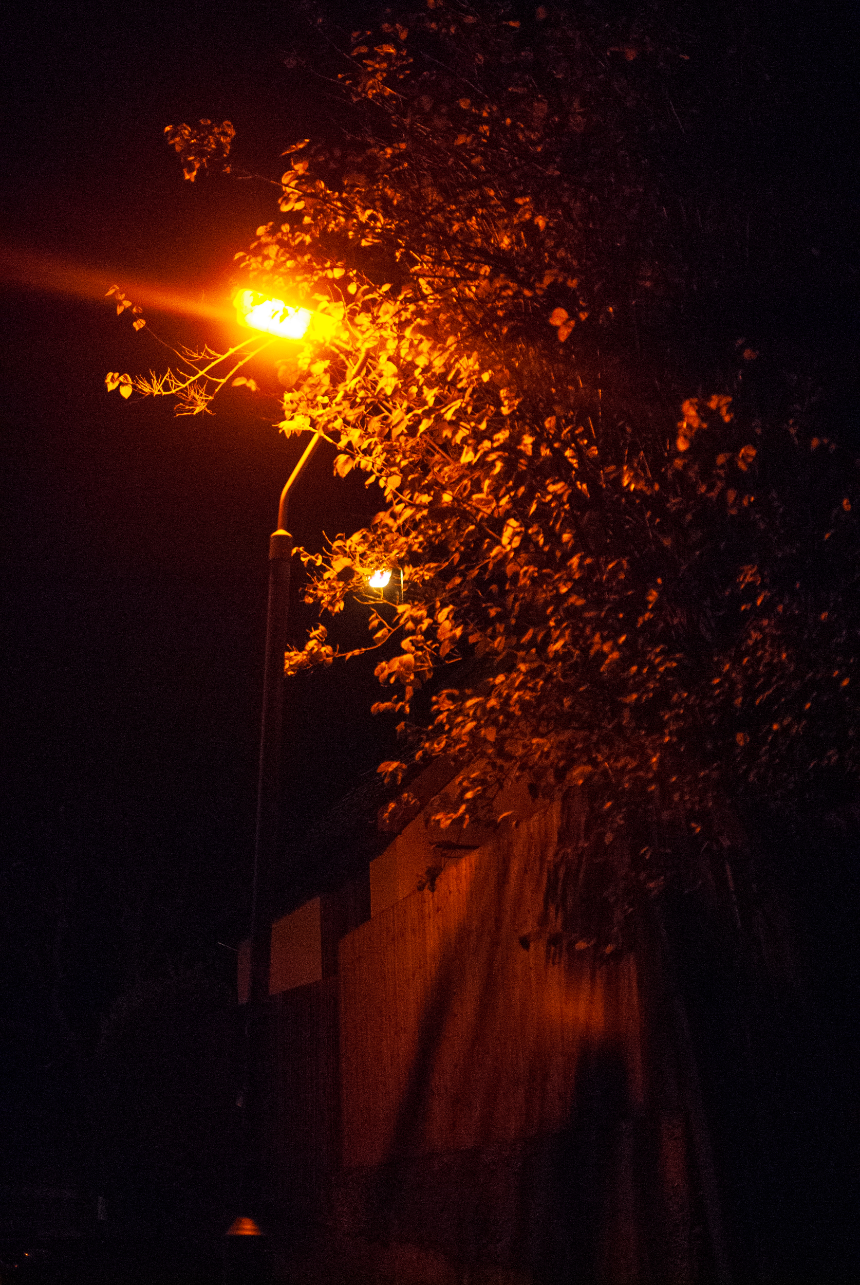 Back in the Amber Glow