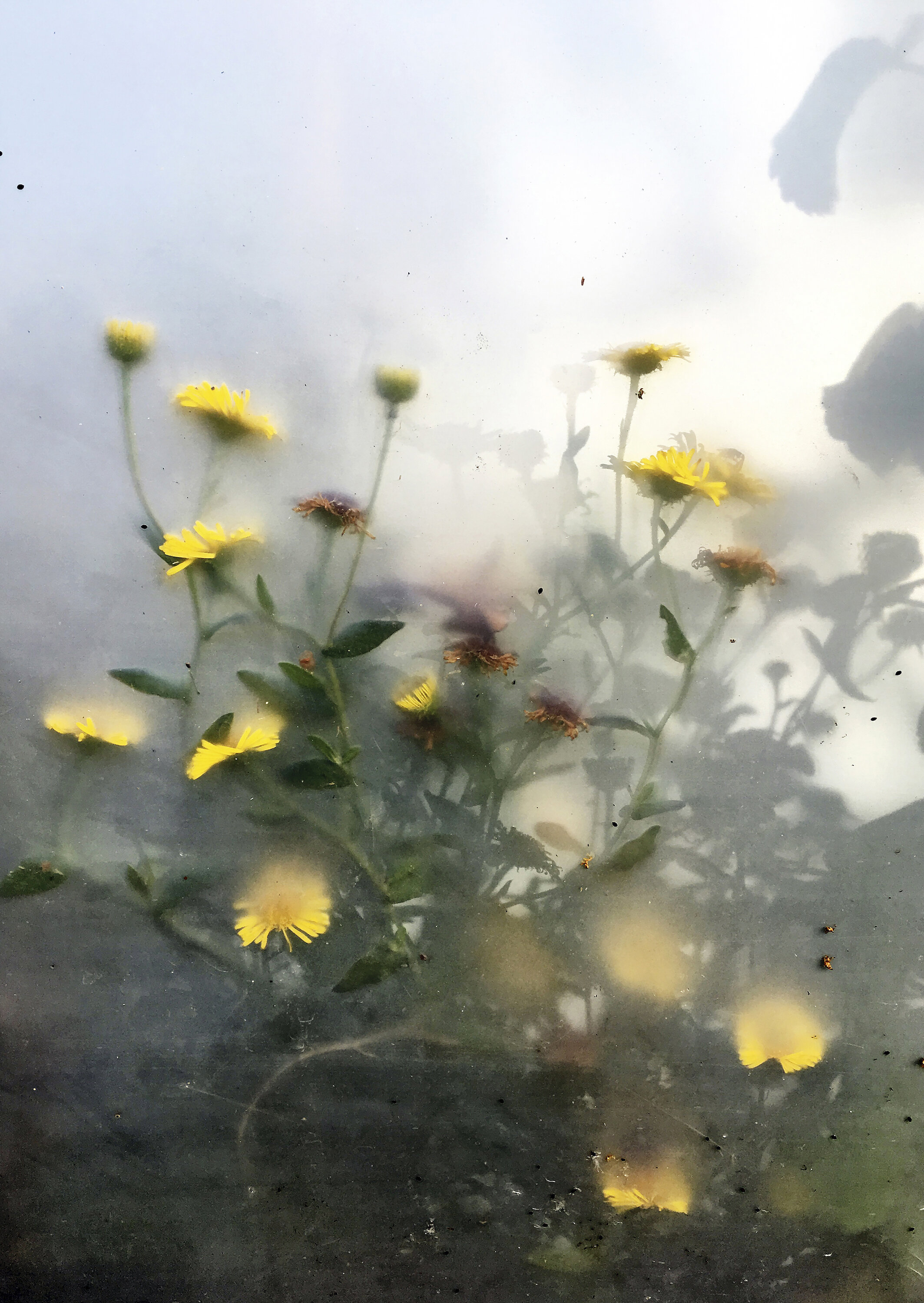 The Thin Layer Between Worlds (2018)