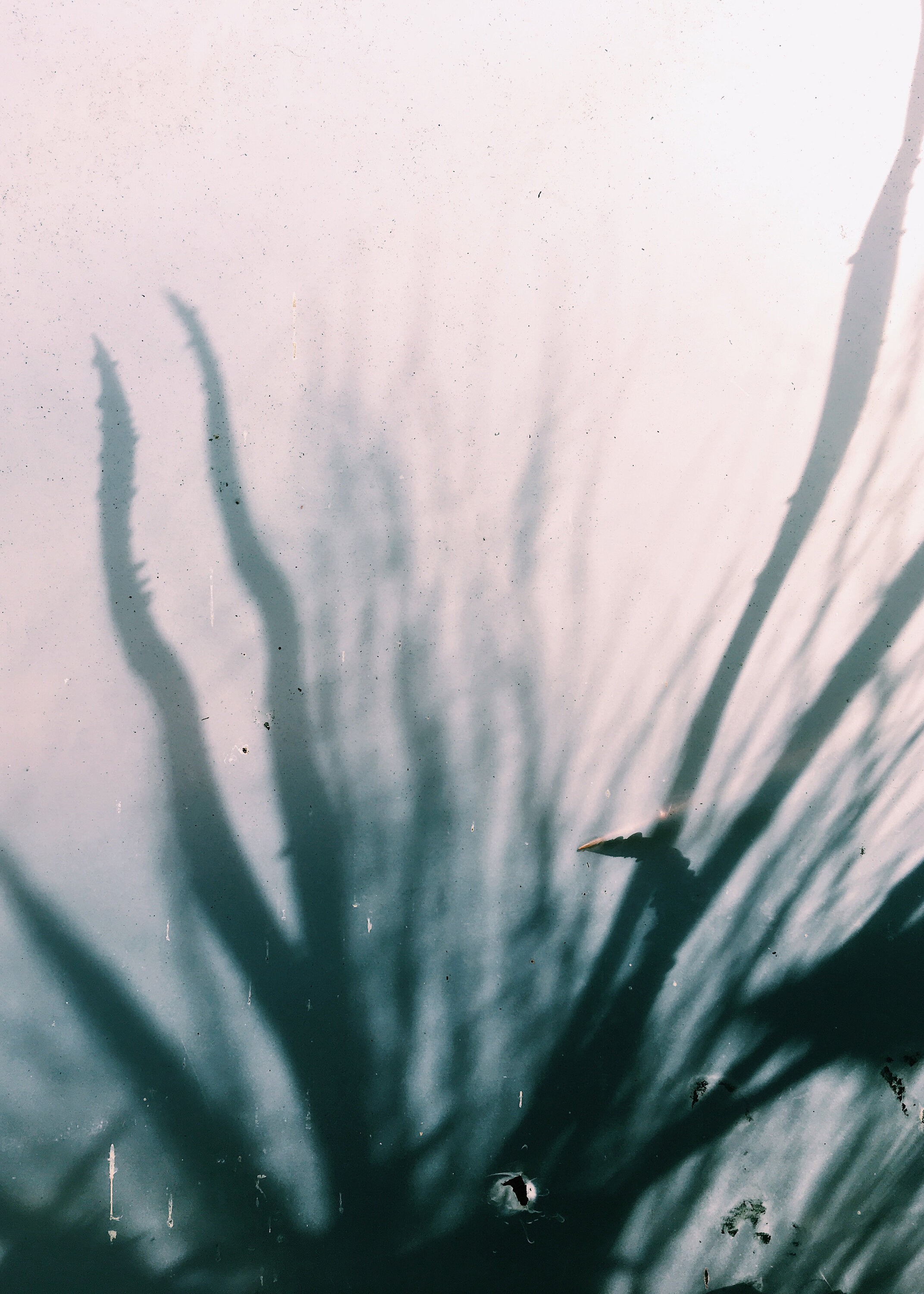 Break Through  (2018)