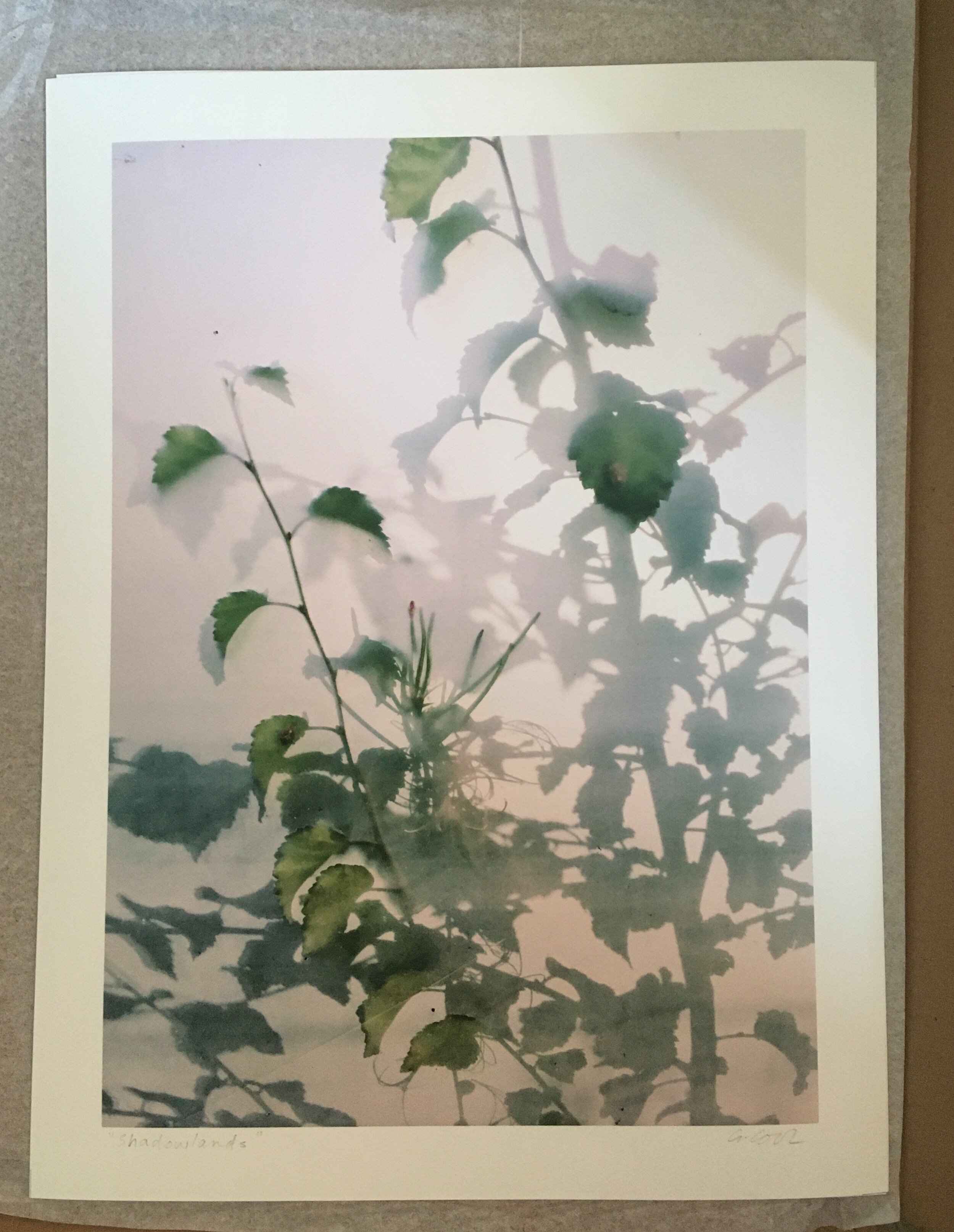 IMG_2307.jpeg