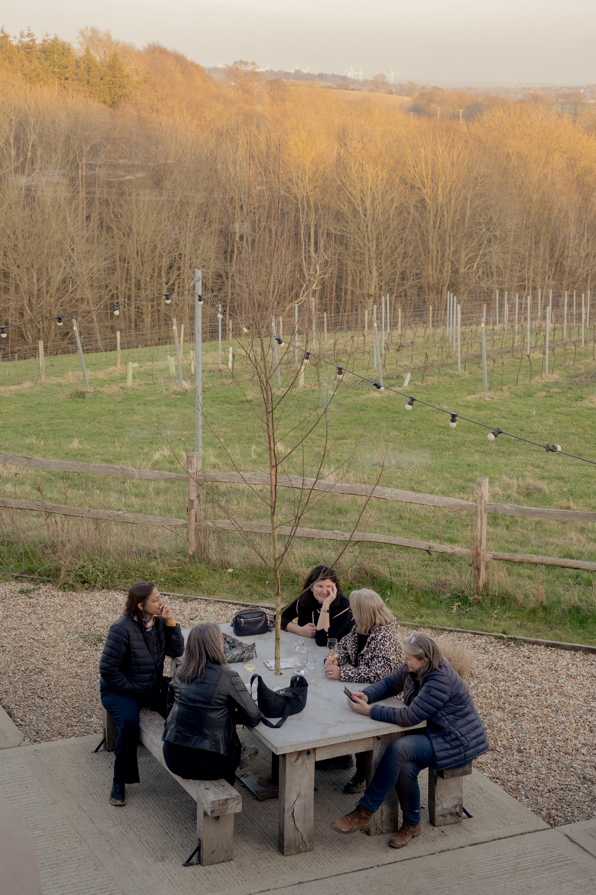 TILLINGHAM, East Sussex