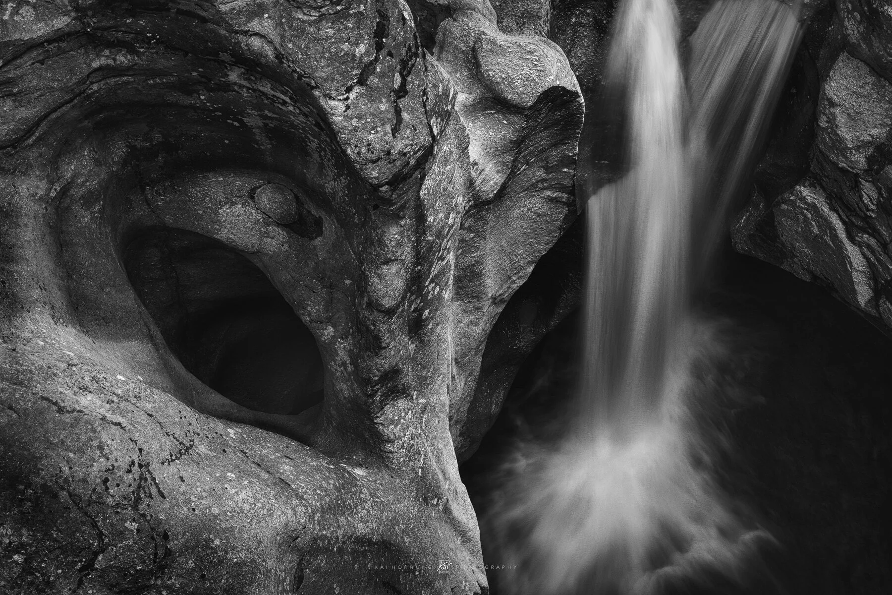 no Venice (Switzerland 2021)