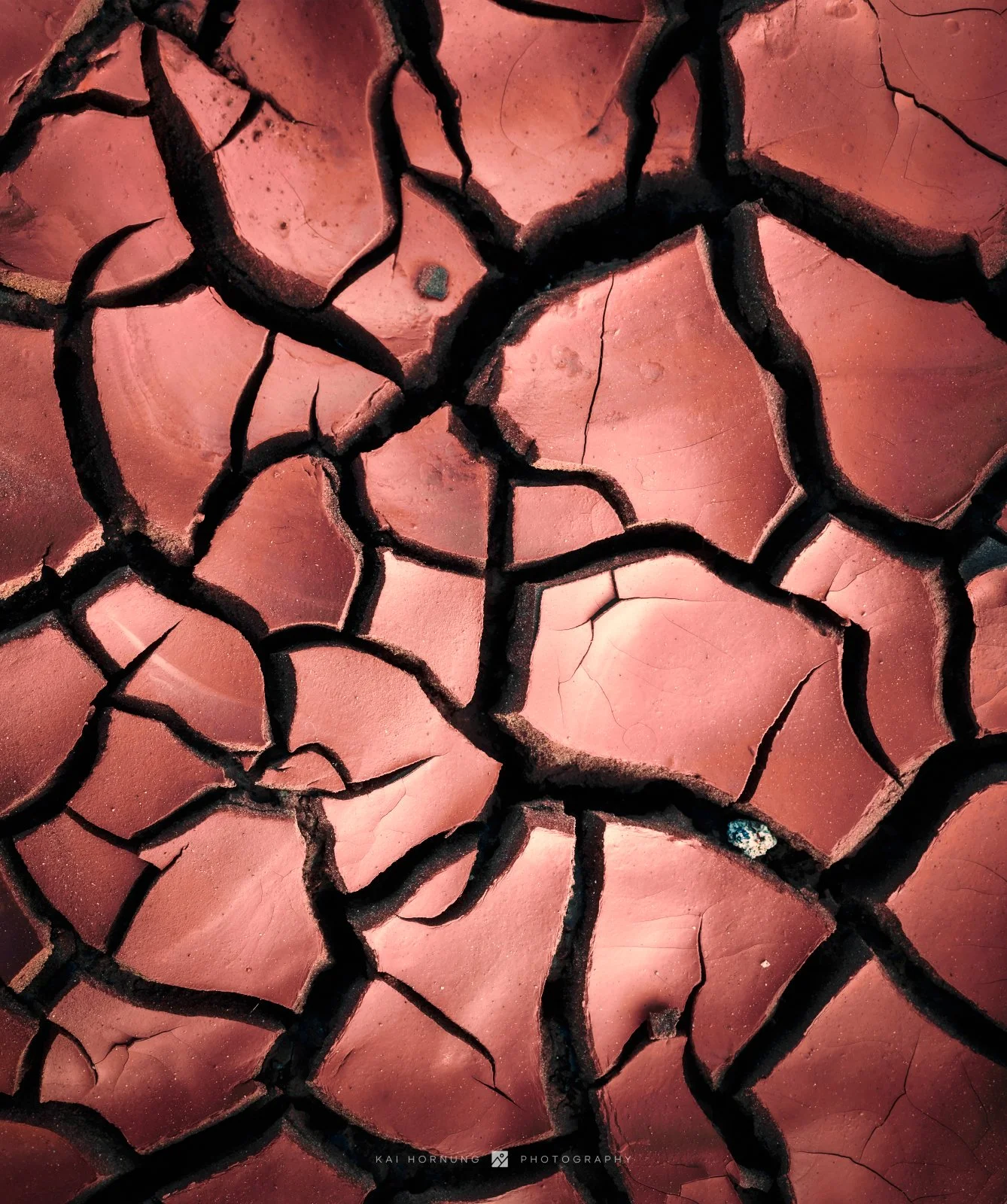 cuts ´n cracks (Portugal, 2024 - edit 2026)