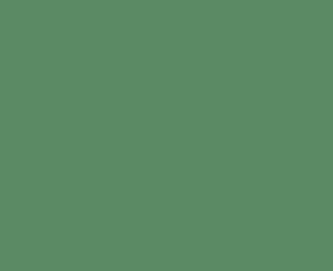 Website Homepage laptop.png