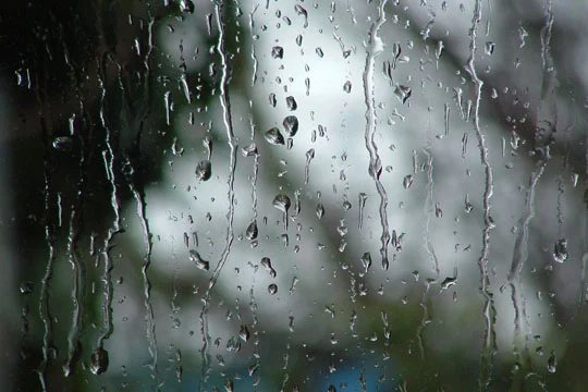 How to Avoid Water in Your Home This Spring
