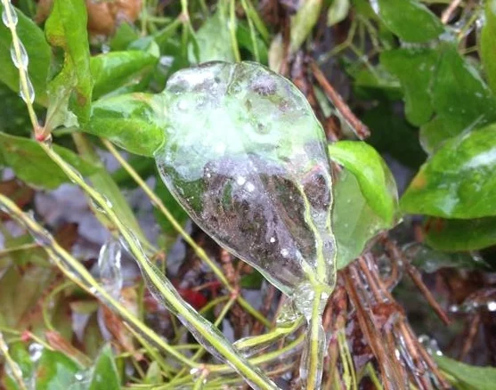 Lessons I Learned from Loving