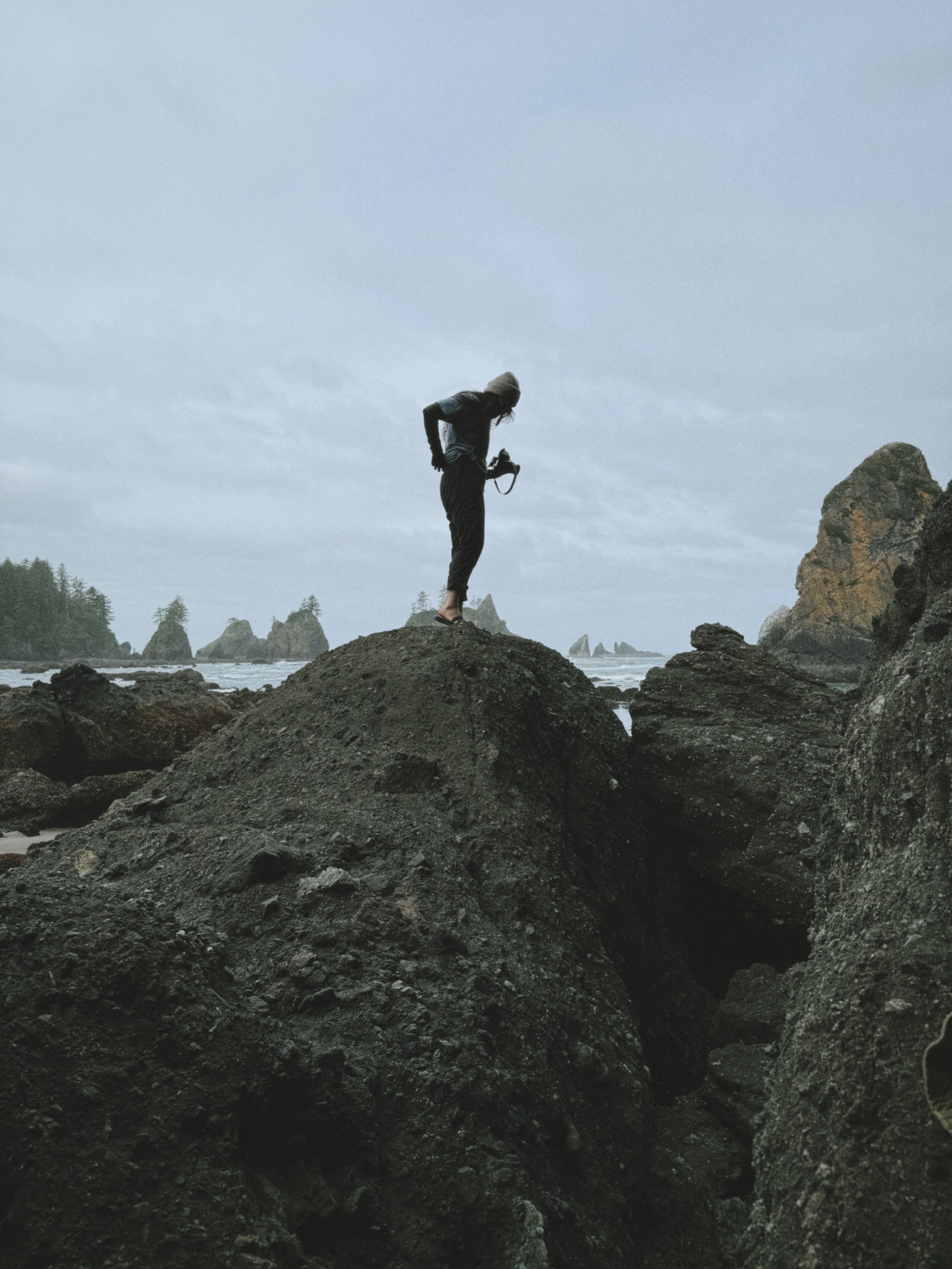 Echoes on the Edge: Tide pools, Petroglyphs &amp; the Untamed Beauty of the Olympic Coast