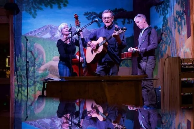 Manitou Strings Live at Trails End Taproom