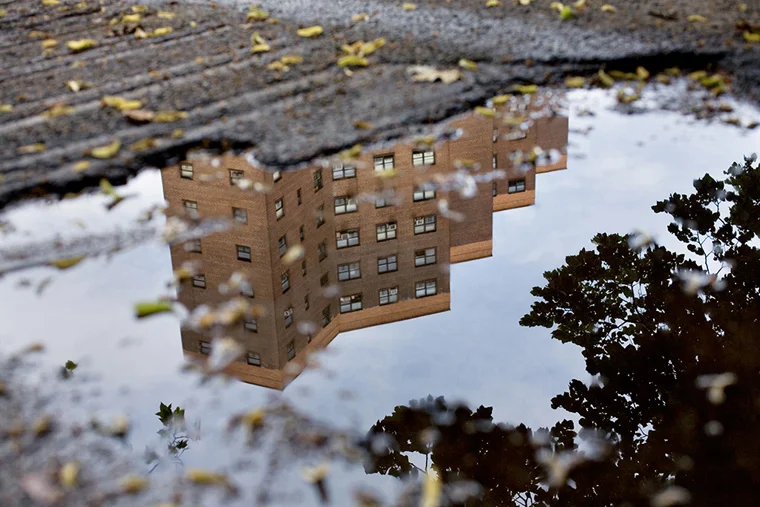 Baruch Runoff #3