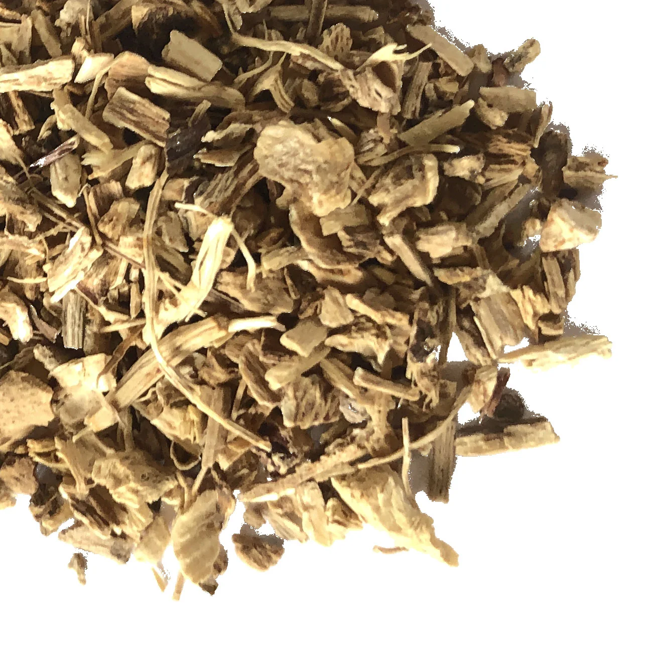 echinacea-root-augustifolia
