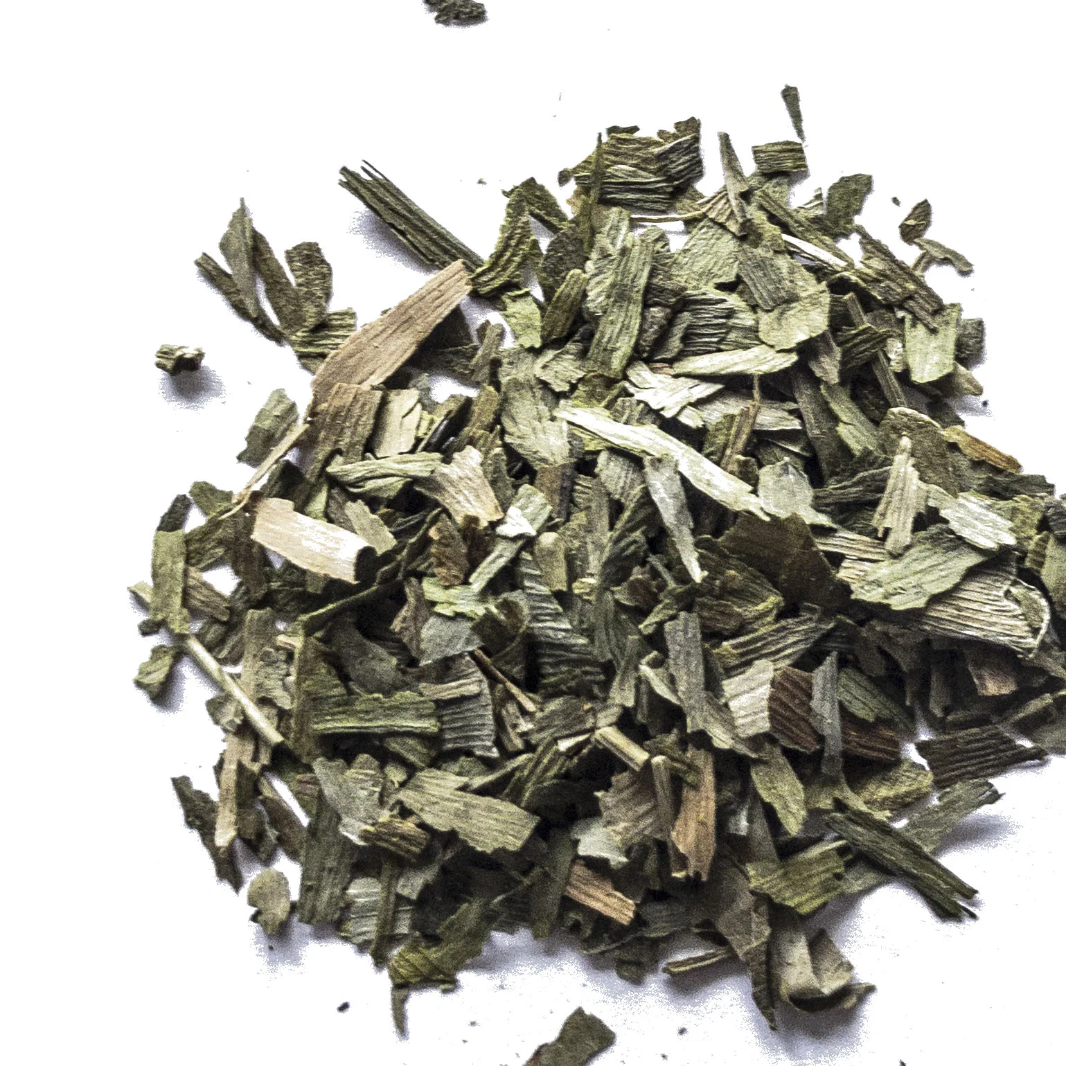 GINKGOLEAVESwhite.jpg