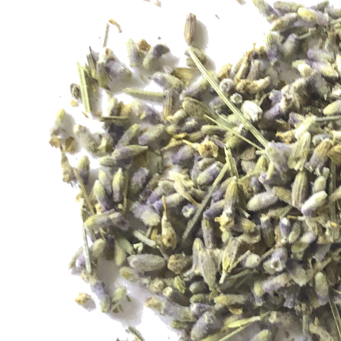 LAVENDERFLWOERSwhite.jpg