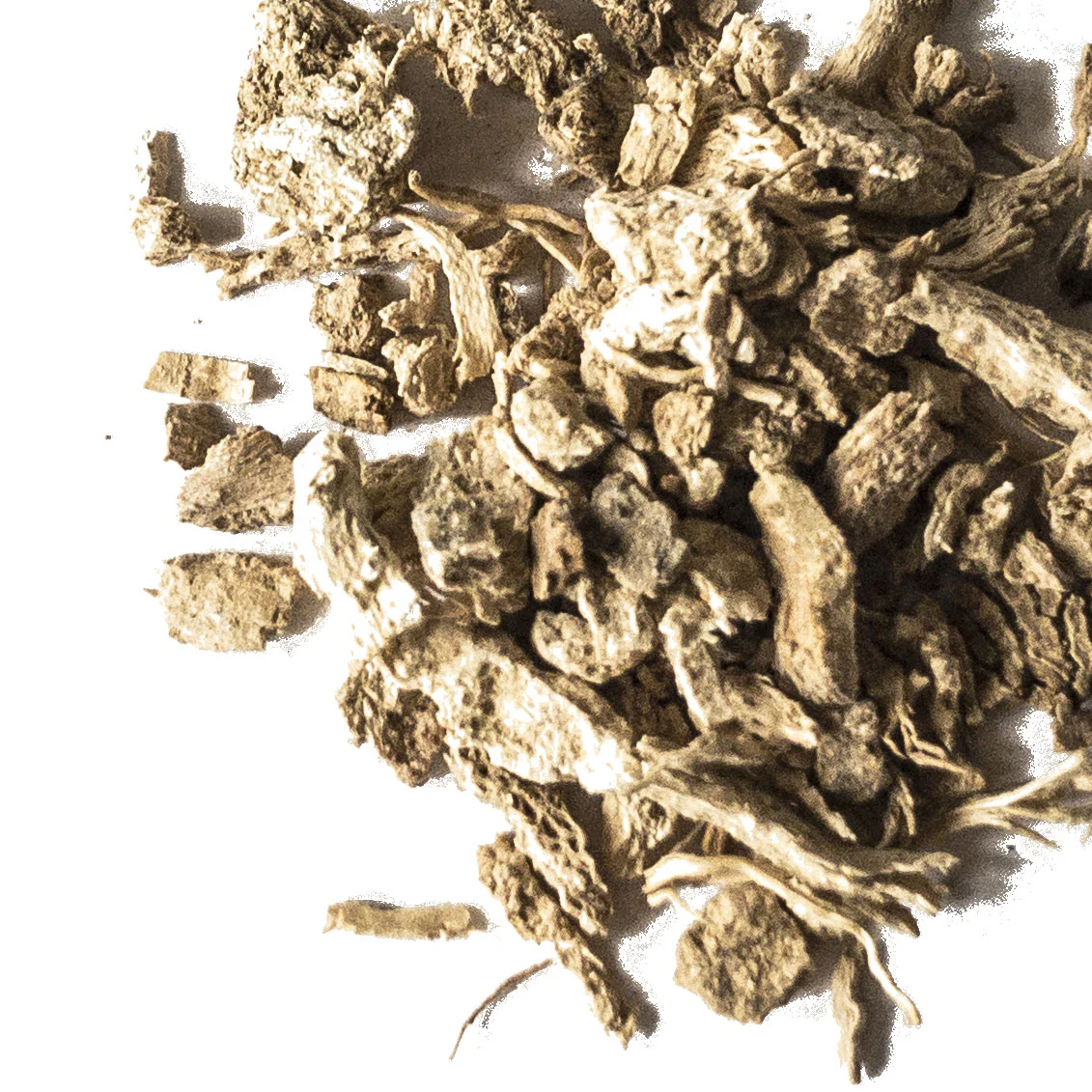 PLEURISYROOTwhite.jpg