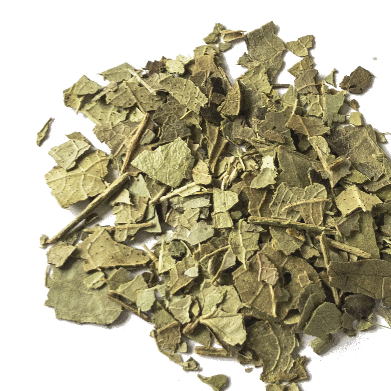 WINTERGREENLEAVESwhite.jpg