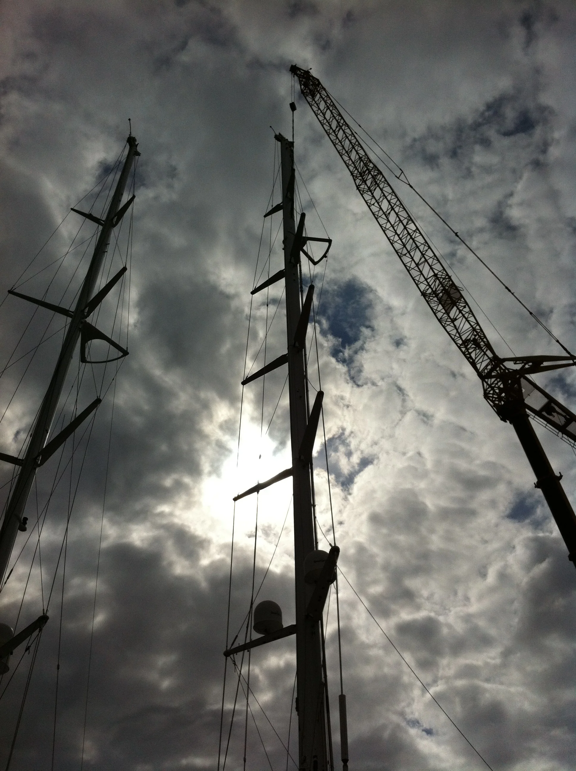 Quality-Cranes-and-Lifts-for-Any-Situation-at-Berth-One.jpg