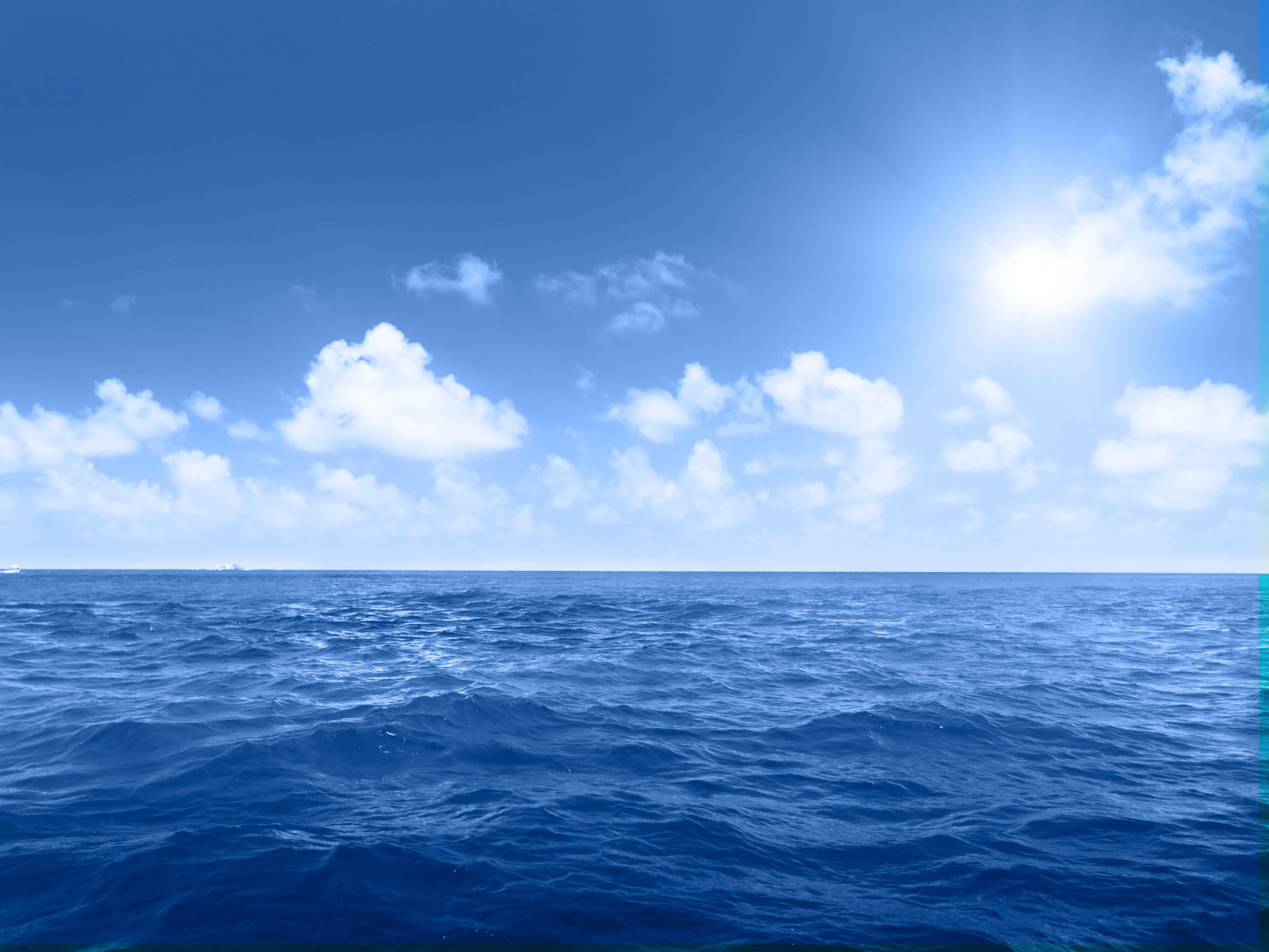 Website-Blue-Overlay-Our-Team.jpg