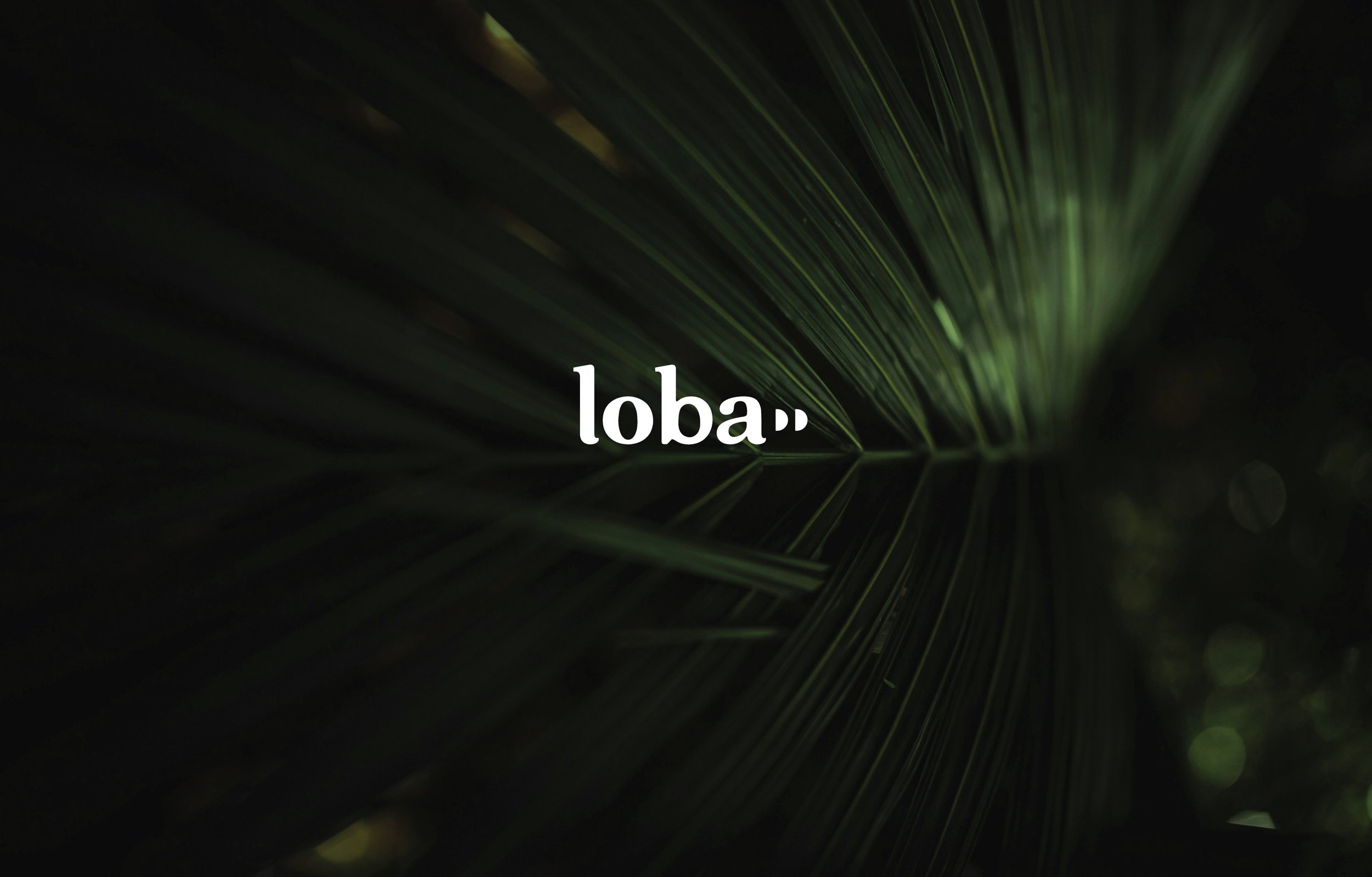 Loba is a high-tech pill organizer, that presents a unique opportunity to merge the worlds of technology, healthcare, and lifestyle design. Given the increasing focus on personal health management, a brand like Loba has the potential to revolutioniz
