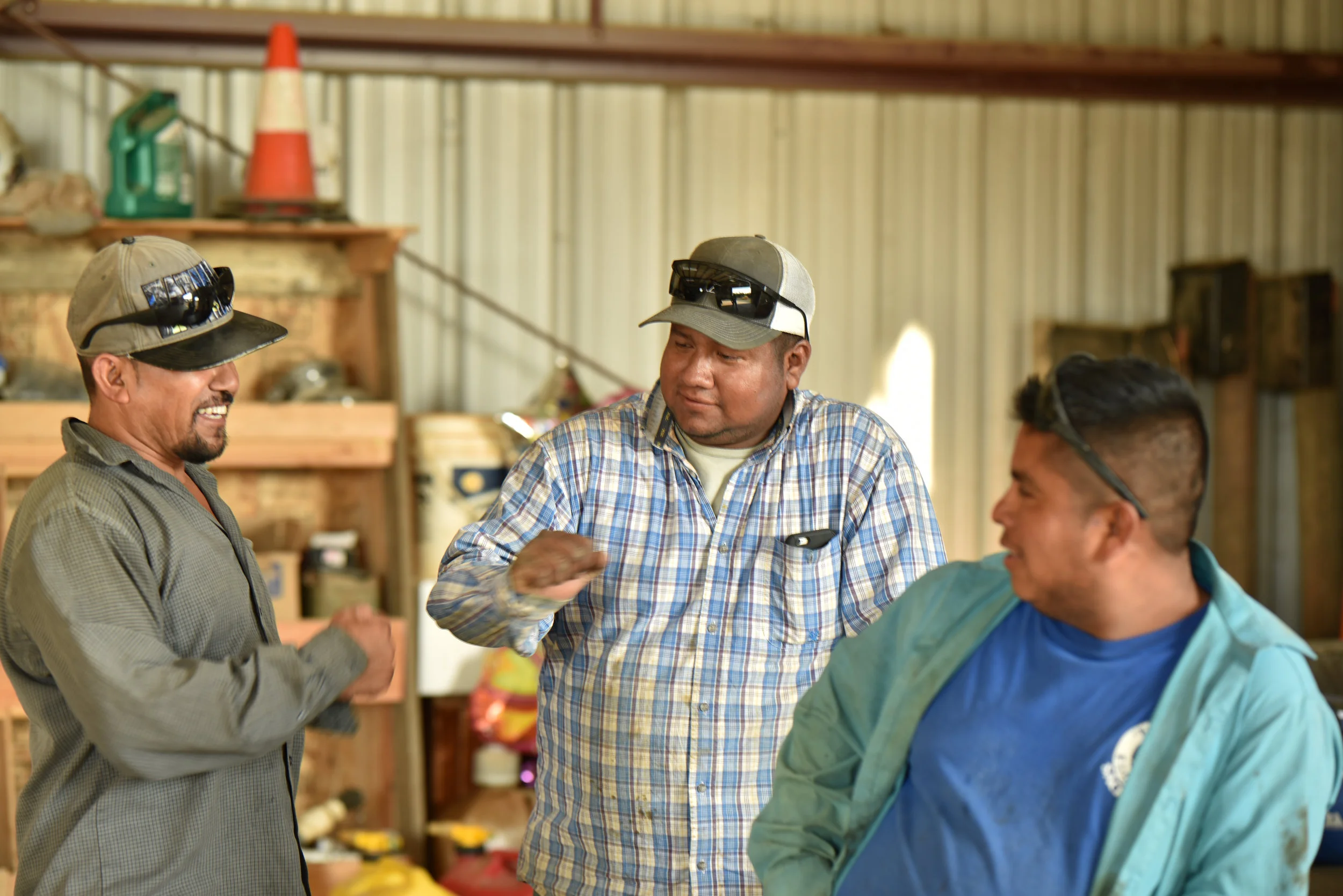 ABOUT — BULLSEYE FARMS