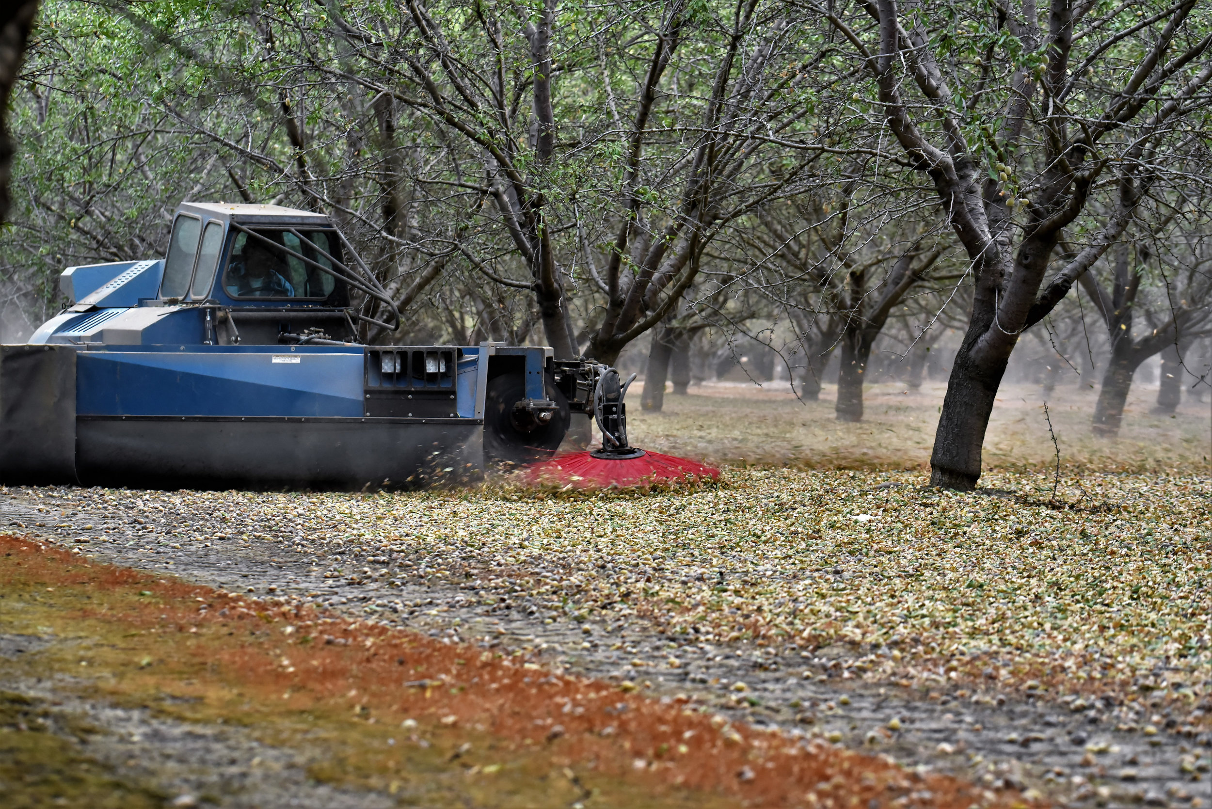 Harvest Season_2017 (202).jpg