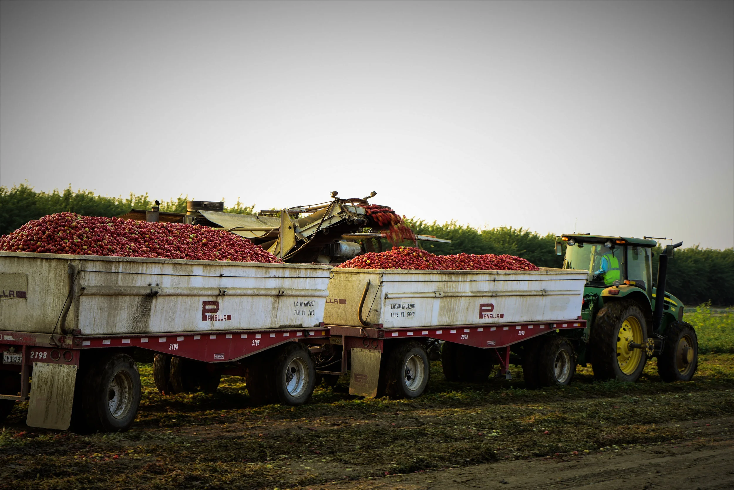 Crops — BULLSEYE FARMS