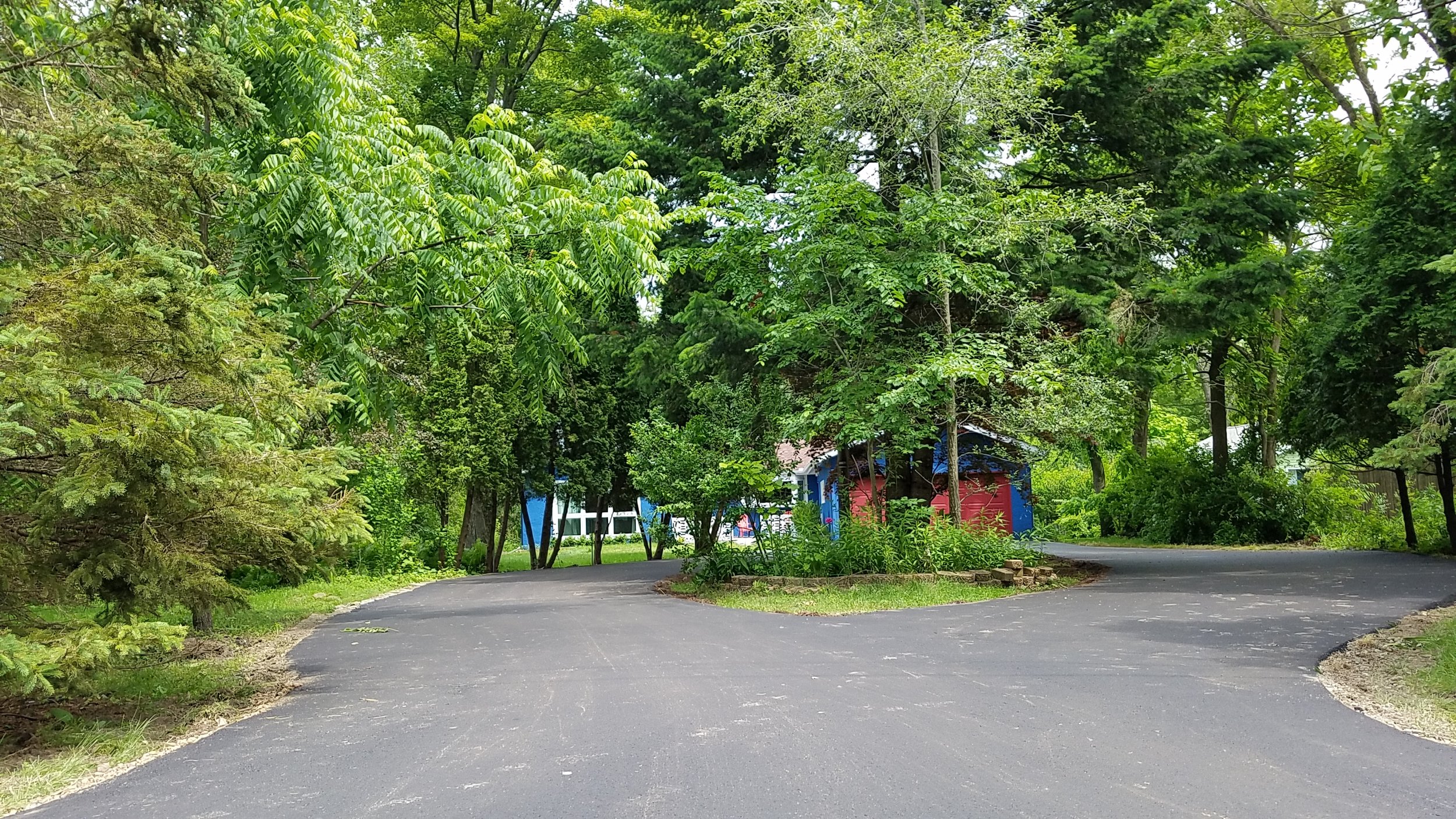 20190619_123221.jpg