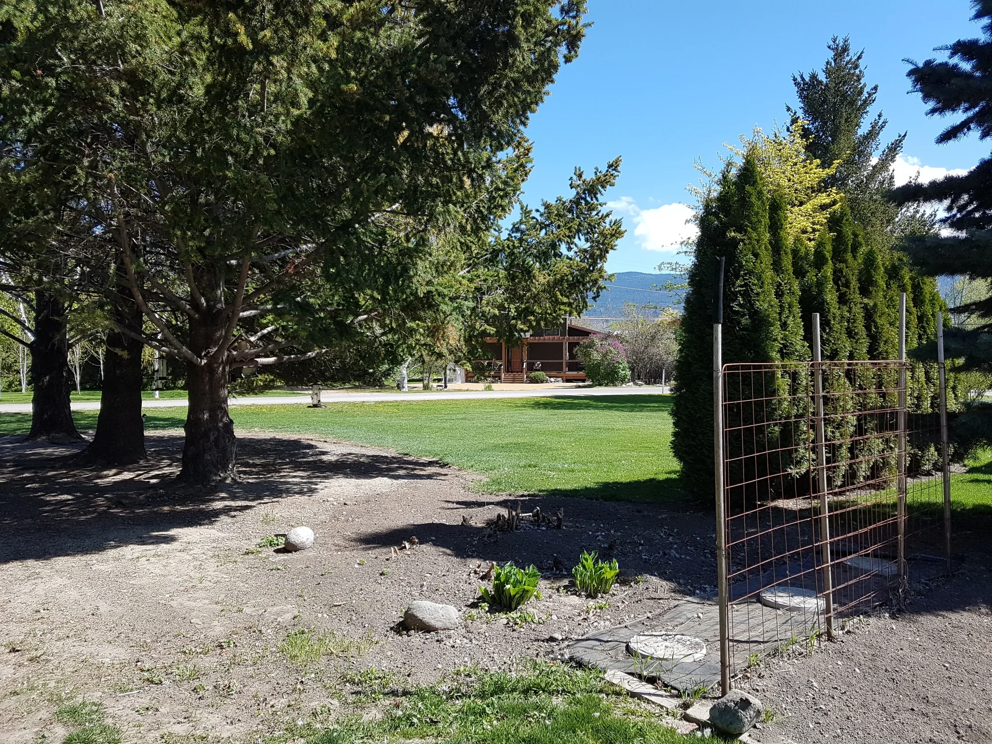 20180505_110426_resized.jpg