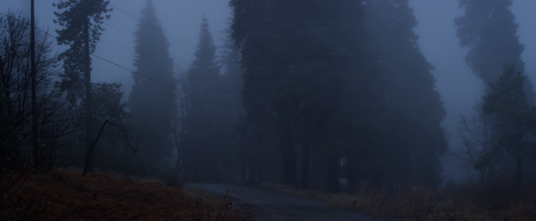 7181373_orig.png
