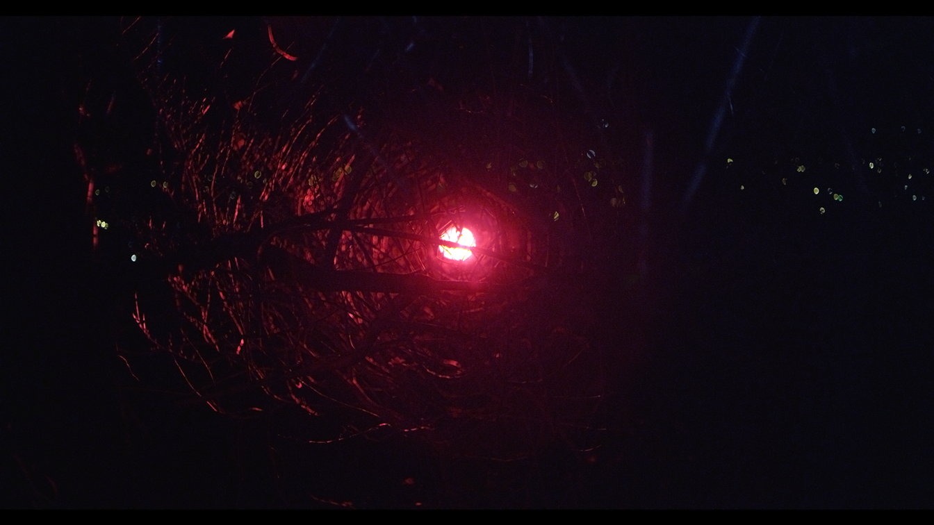 v1-0008-a011-c001-0116ye-001-00112570_orig.png