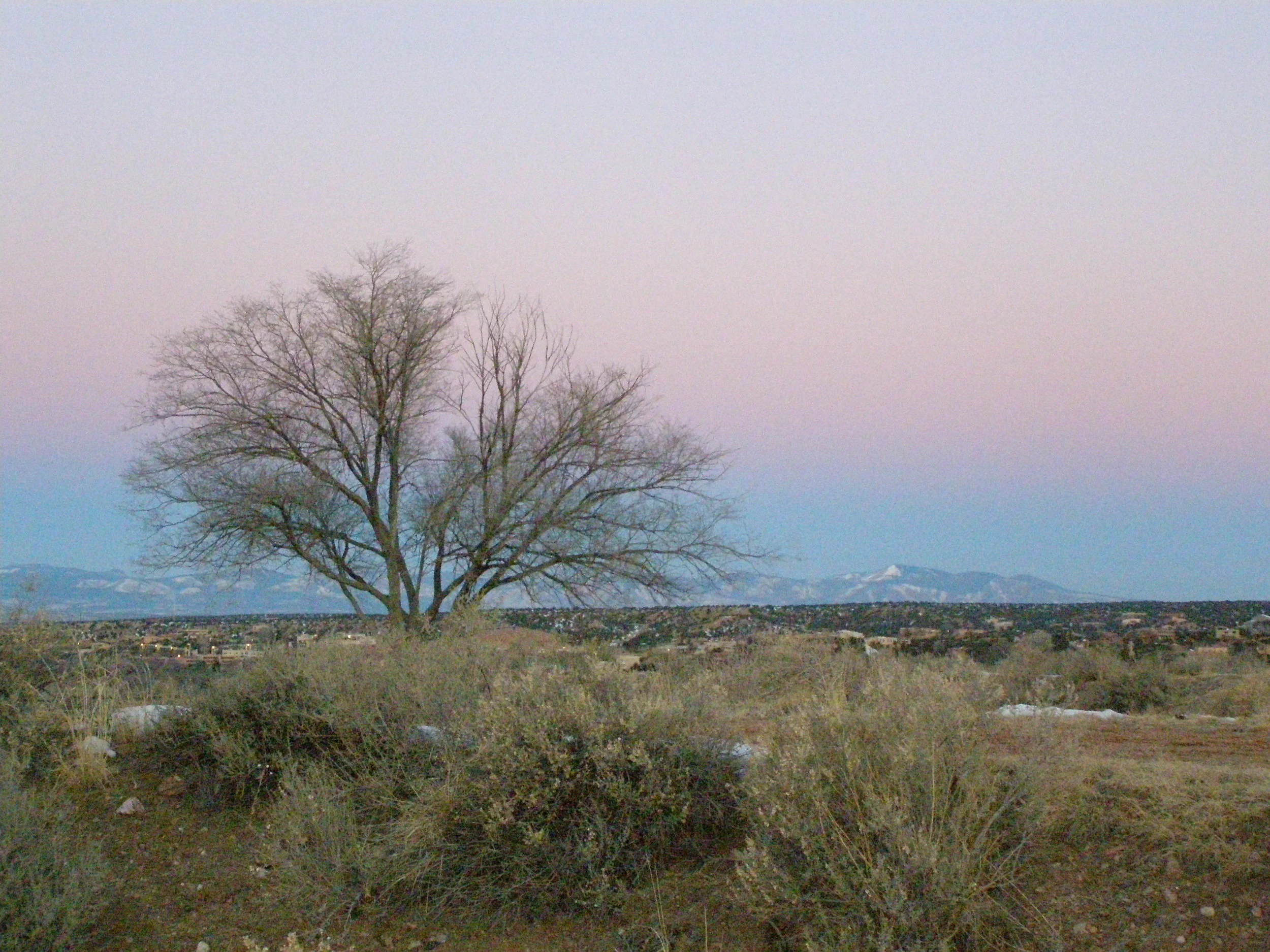 P1150020.jpg