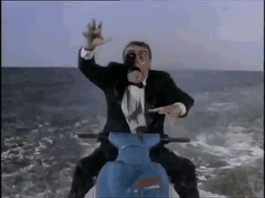 shark attack.gif