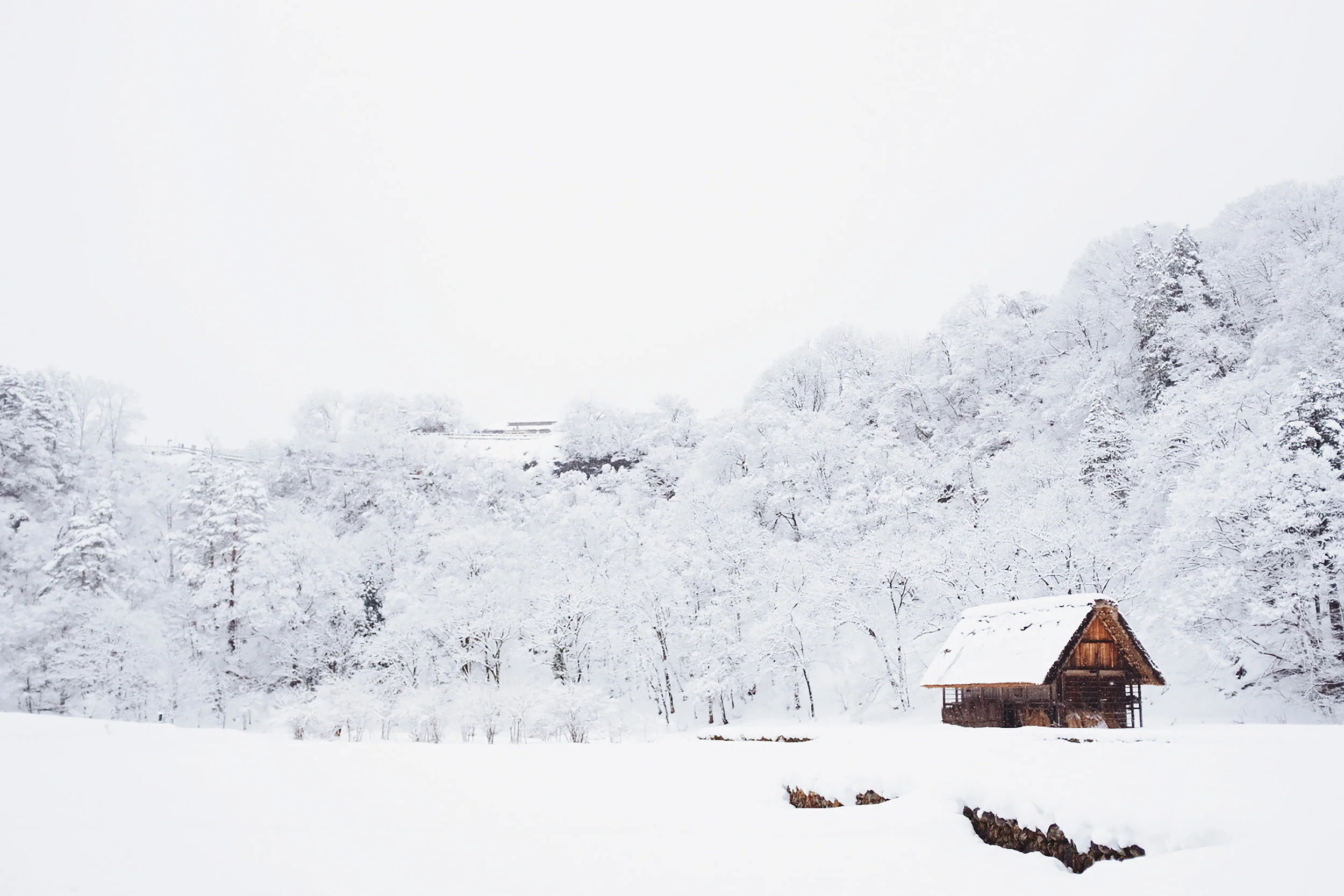 postcards from the edge of snow day