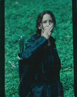 hungergames.gif