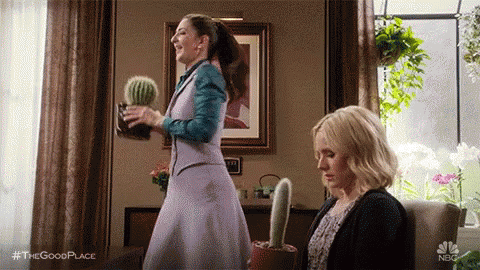 janetcactus2.gif