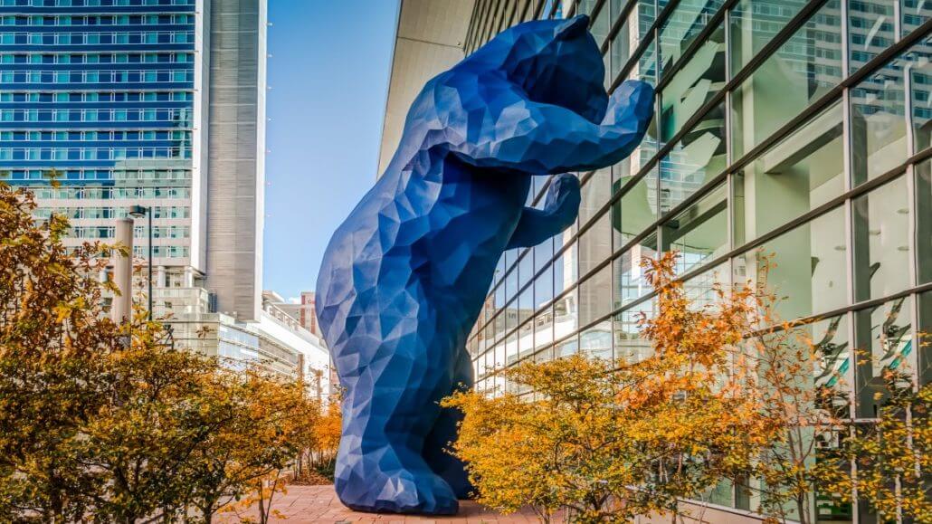 blue bear denver (1).jpg