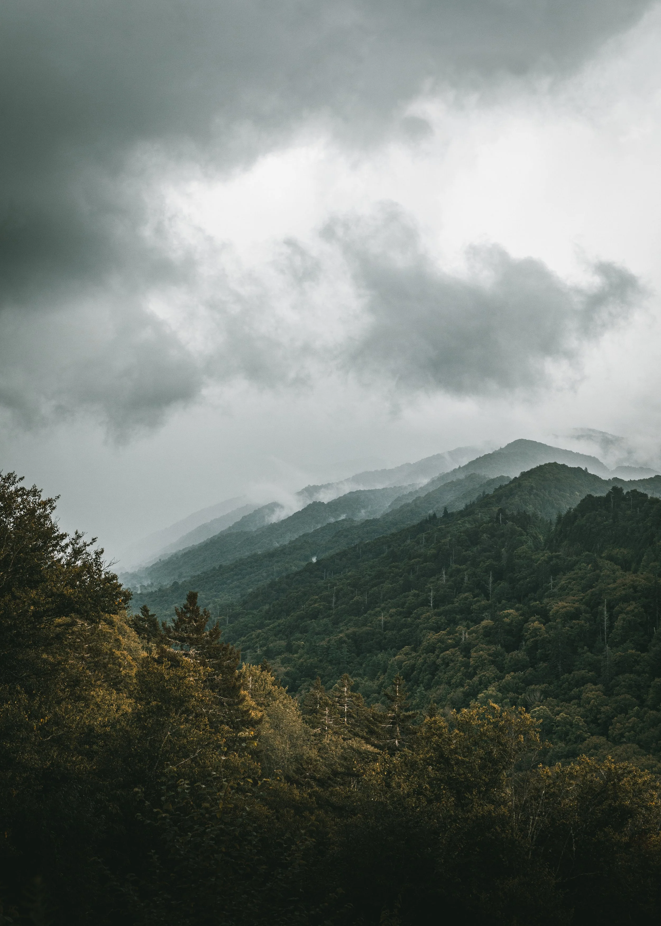 Smoky Mtns Color v1.jpg