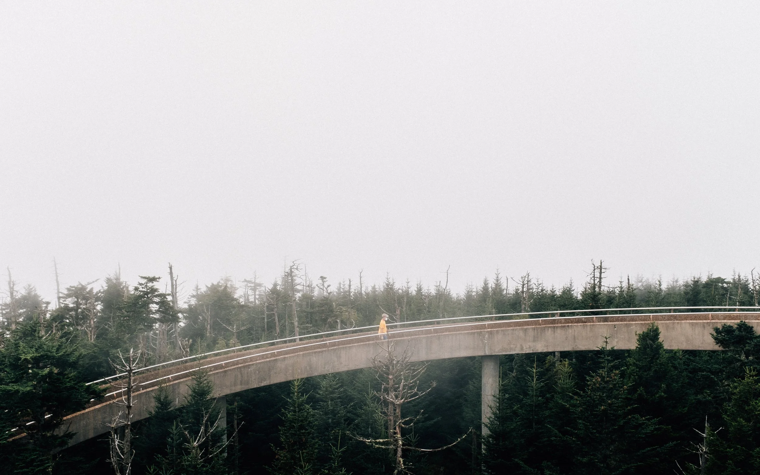 Clingsman Dome Fog-3.jpg
