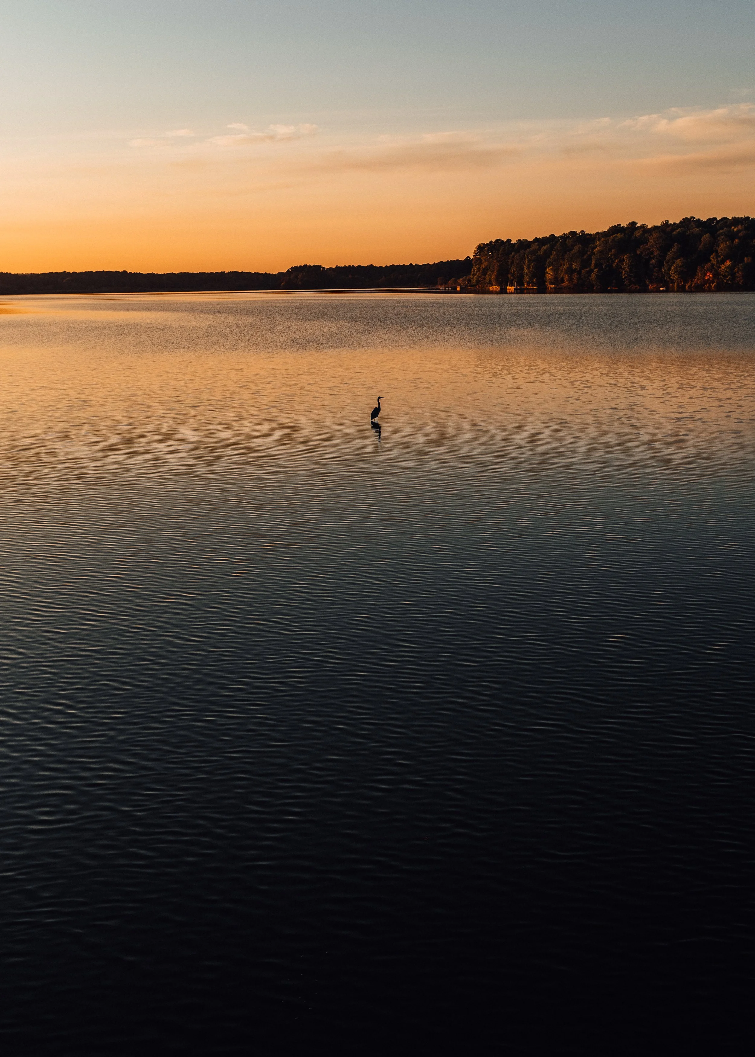 Crabtree Colors-2.jpg