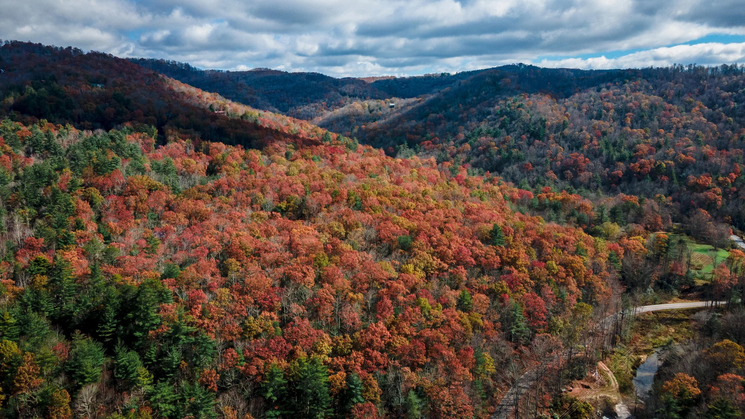 Mavic Fall Foliage-3.jpg
